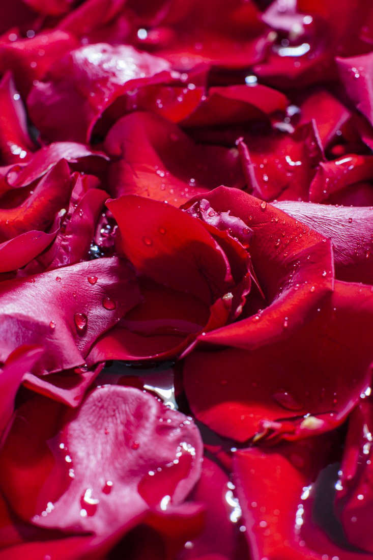 Margrethe Larsen Winston Flowers Chestnut Hill Newton Ma 02459 A